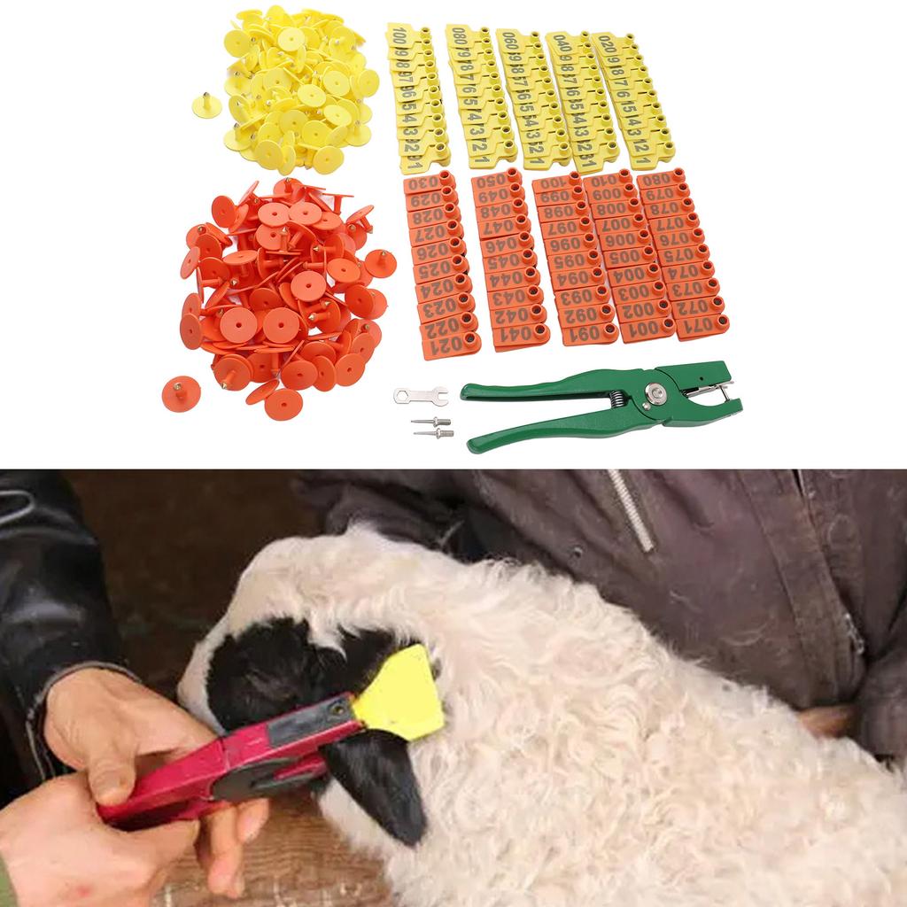 Ear   and Pliers Set Livestock Ear   Applicator and Bright Colors Cattle Ear   for Farm Animal Identification Card