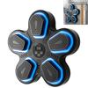 Smart Boxing Music Punching Wall Target for Home Use Adult and Kids Training Equipment ABS Material