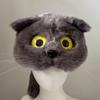 Schattige Pluizige Kattenoren Mutsjes Met Staartjes Decoraties Zachte Fleece Wintermuts Voor Vrouwen Meisjes Accessoires Voor Koud Weer