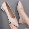 Elegant Minimalist Spring  Autumn New Pointed Toe Single Shoes Fashionable Versatile Thick Heel Shallow Mouth Women's Shoes