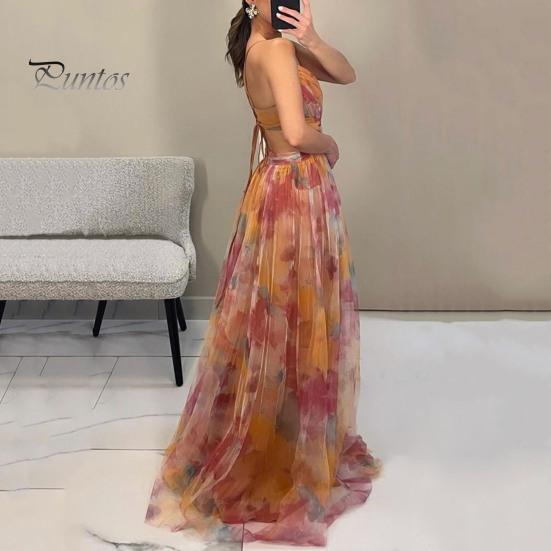 Women Evening Dress Mesh Colorful Printing Low-cut Sleeveless Backless Spaghetti Strap Pleated A-line Floor Length Tight Waist
