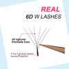 Goddess Cilios  6D W-shaped Eyelash Extension Automatic Flowering W Lashes C/D Curl High Quality individual Fake Eyelashes