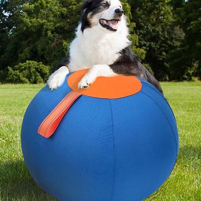 Perros – Juguetes para perros