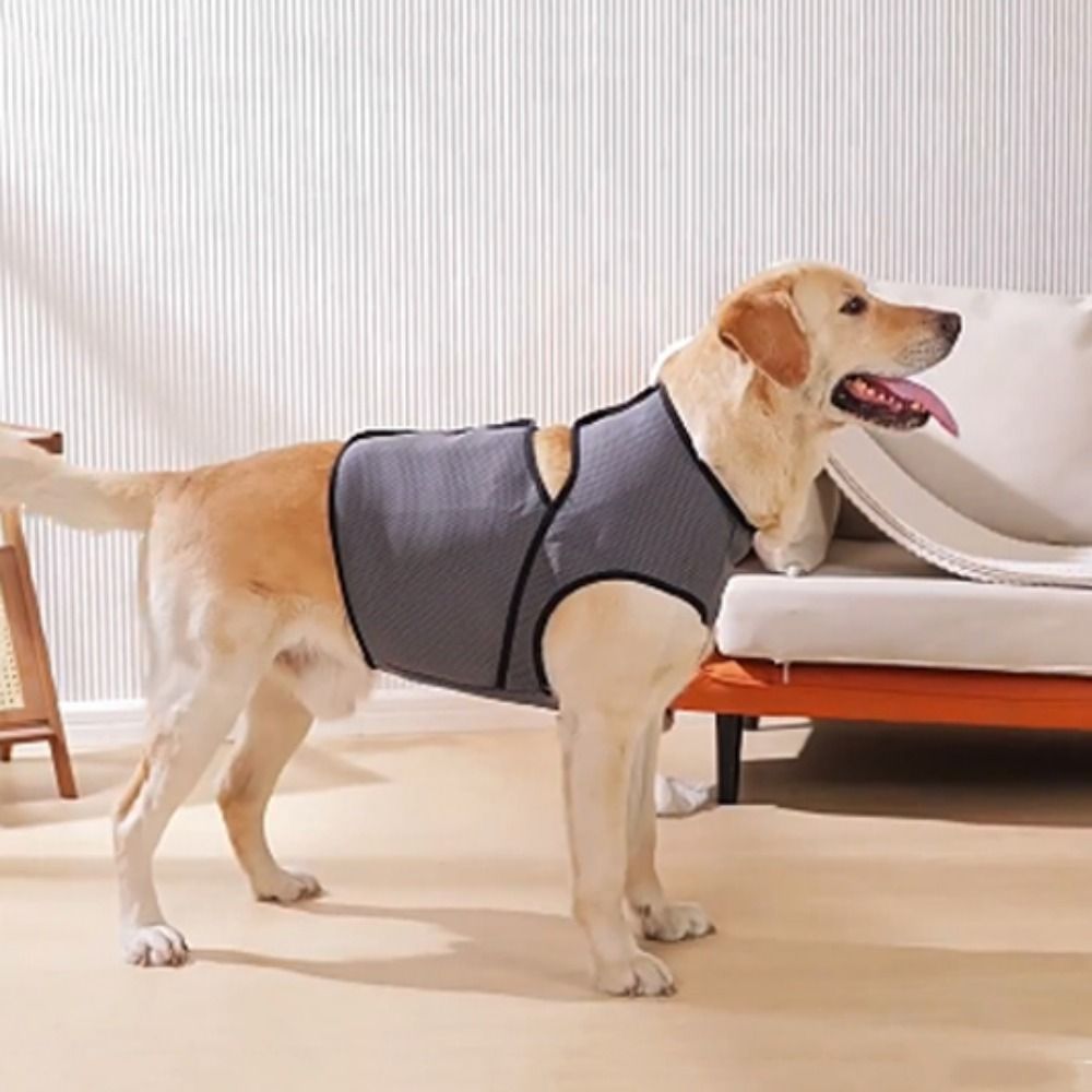 Adjustable Dog Anxiety Vest Breathable Dog Chest Back Clothing for Thunderstorm Fireworks