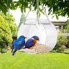 Klarer Acryl-Fenster-Vogelfutterspender Starke Saugnapf-Kette Vogelhaus Rund Transparent Hängender Vogelfutterspender