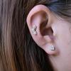 Limerencia hypoallergene øredobber i rene titan medisinsk bruk Etterlater den andre piercingen på titan Kompatibel med metallallergier skruetype