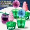 Kristallblumen-Experiment, DIY züchtbare Kristallblumen, erschaffe deine eigenen Kristallblumen Wissenschaftliches Bildungsexperiment,