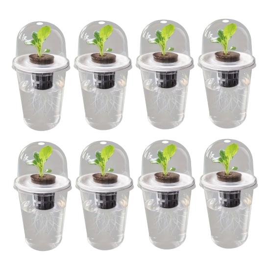 1/2/3/5/6/8/10Pcs Hydroponic Plants Growing Cup with Dome Transparent Plants Germination Pot Gardening Nursery Plants Starting Container