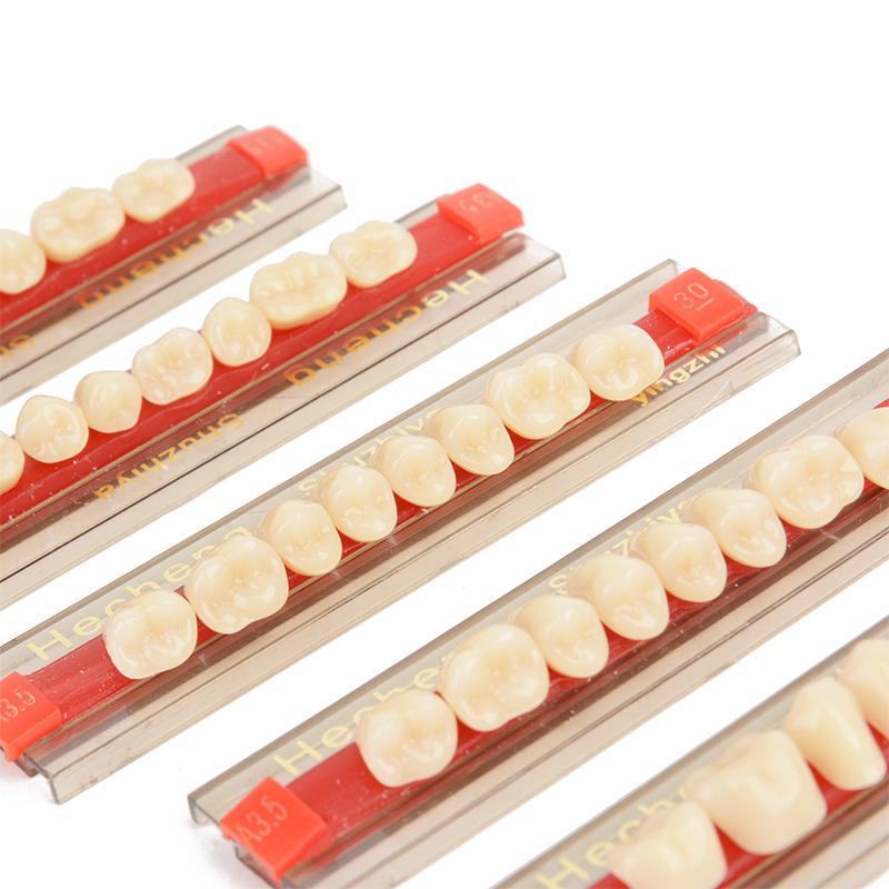 84 Pcs False Teeth Dental Complete Acrylic Resin Denture Teeth, 3 Sets