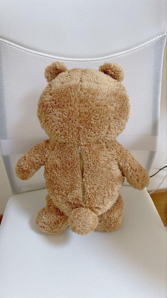 [USED] Ted Ted Bear Plush Sun Arrow Backpack Teddy Bear