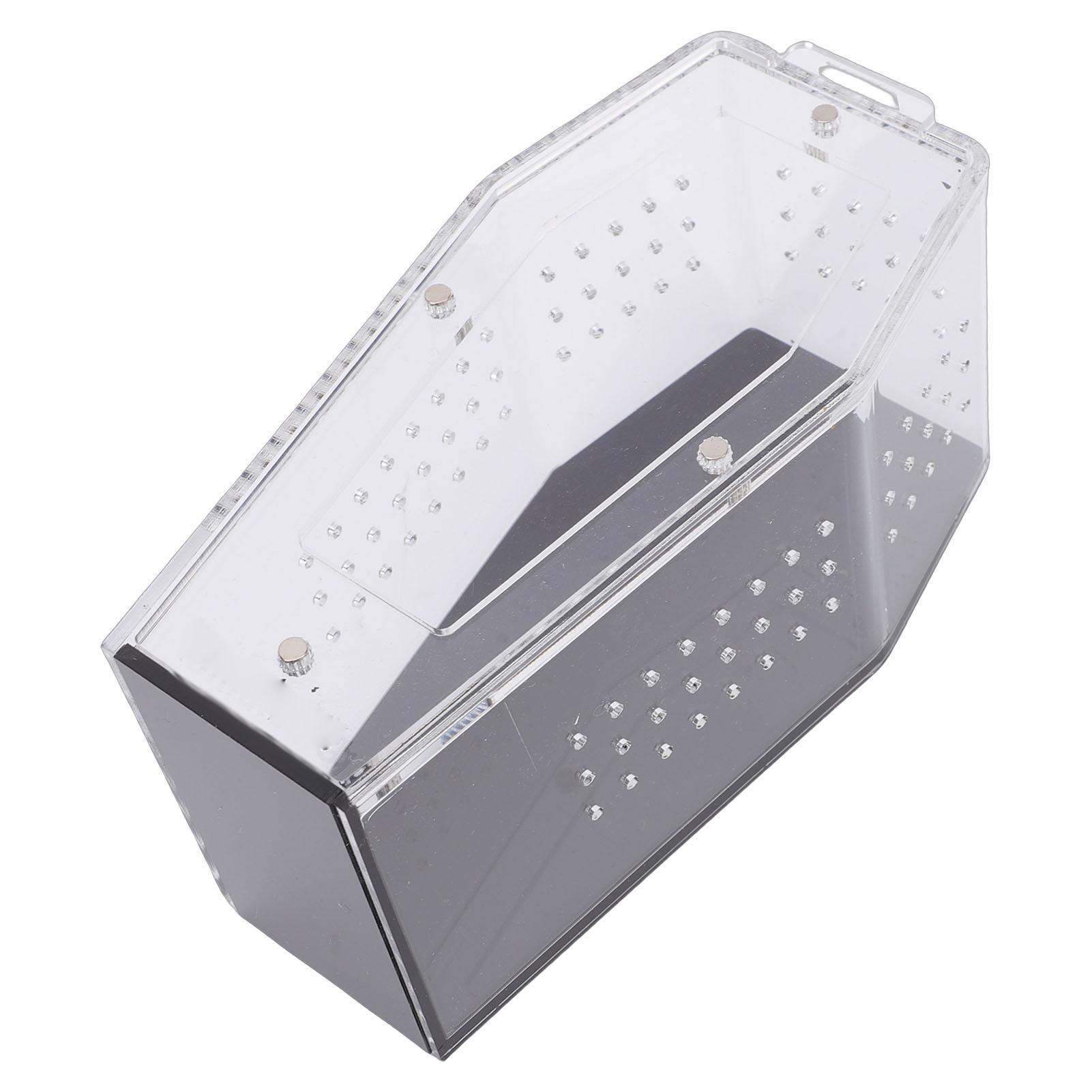 Acrylic  ing Spider Enclosure Versatile Ventilated Transparent Reptile Terrarium Box for Tarantula         Crab