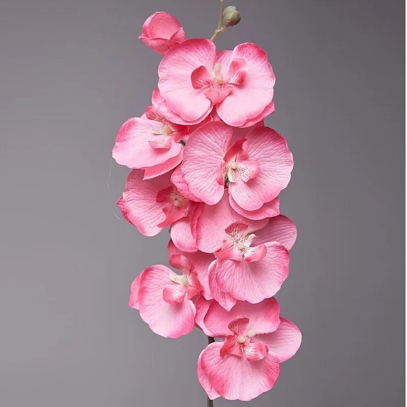 5pcs 9-Heads Artificial Butterfly Orchid Silk Flower 68CM Fake Phalaenopsis Wedding Home Decoration Artificial Flowers