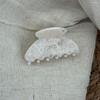 Exquisite Korean Acetate Hair Clip - Small Claw for Back of Head, Half-Up Style
