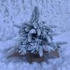 Mini Christmas Tree Snow Scene Desktop Ornament