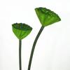 Romantic Artificial Lotus Handmade Fake Lotus Branch Simulation Lotus Leaf  Balcony