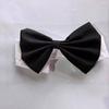 British Gentleman Bow Tie Collar for Small Dogs and Cats