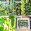 Easy Setups Tomatoes Plant Climbing Net Crafted from Polyester Ideal for Balcony Gardening and Vegetable Growth Support