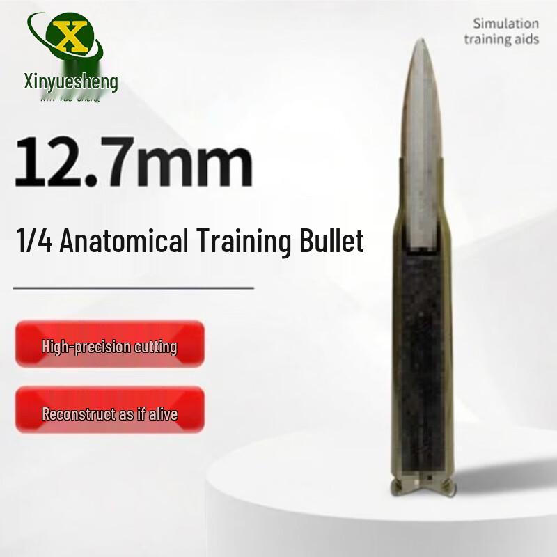 Xinyuesheng 1/4 Anatomy Training Model