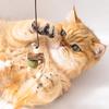 Feather Toys Kitten Funny Colorful Rod Cat Wand Toys Wood Pet Cat Toys Interactive Stick Pet Cat Supplies Teasing Cat Stick New