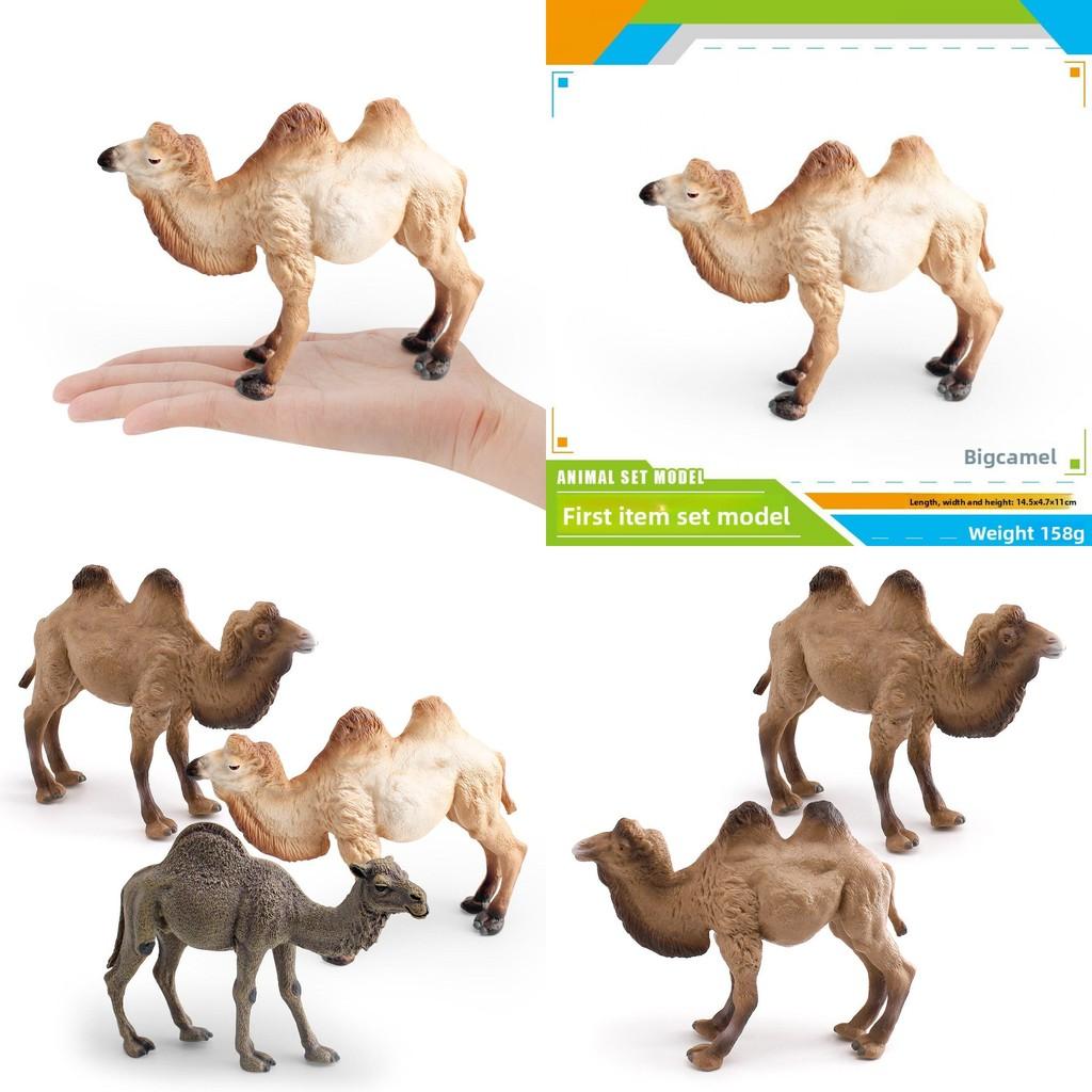 Animal Wildlife Pvc Model Single Hump Camel Decorative Toy For Kids Educational Gift