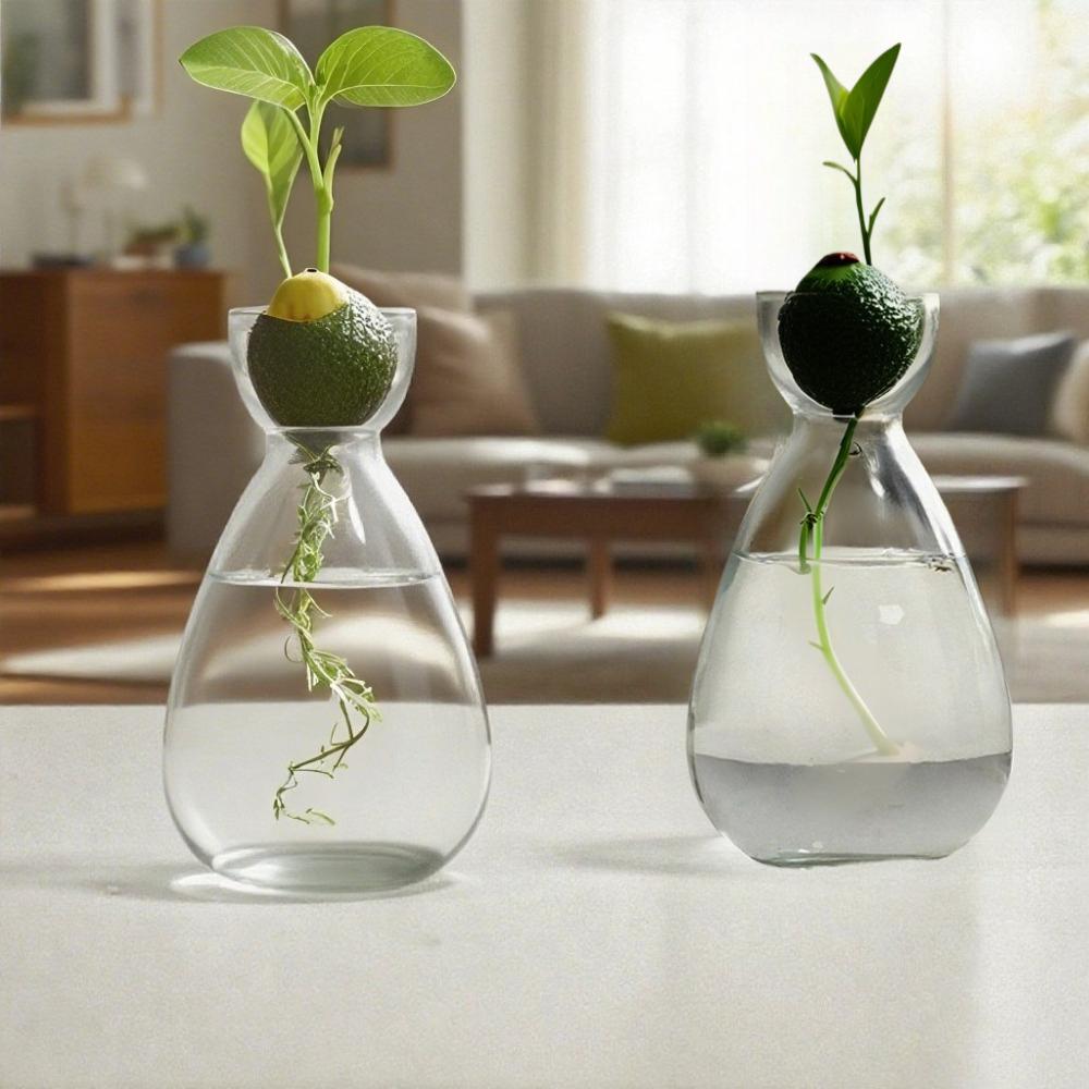 Kreativní váza Skleněná hydroponická váza na semena Skleněná váza Váza na avokádo Domácí dekorace na stůl Hydroponická ozdoba Milovníci zahradničení