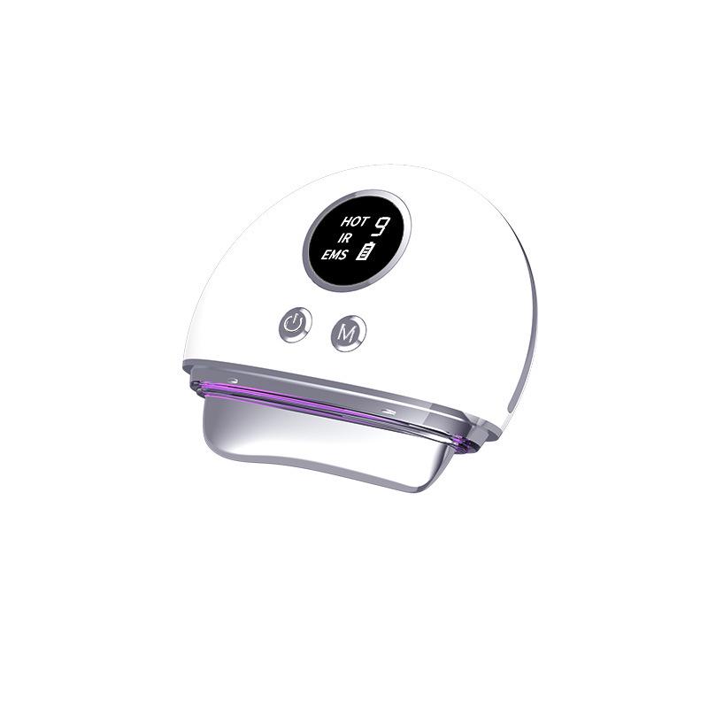Multifunctional Beauty Instrument: Red/Blue Light Facial & Neck Massager with Gua Sha