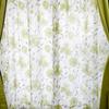 Arie Moebius Lace and Drape Set of 100 X 135 Green Curtains, 4, Cm,