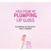 Pudaier - High-Pigment Plumping Lip Gloss - 14 Colors