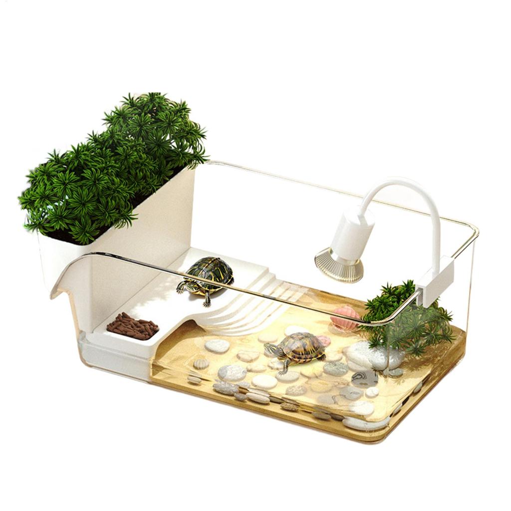Turtle Tank with climbing spot & flower pot Transparent Reptile Terrarium Habitat Decorative Small Crab Feeding Basking Habitat