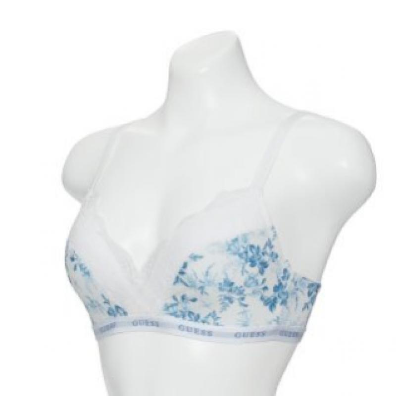 Blue Floral No Wire + Panty Set Lbu Gdwbr312 Bp312 