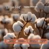 Bailisi 100% Xinjiang Cotton Antibacterial Quilt