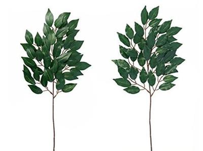 Shinto Sunakları için iMedia Sakaki Ağaçları, 2'li Set, Sakaki, Shinto Sunağı, Yapay Sakaki Çiçekleri, Mezarlar için, Budist Sunakları, Mezar Ziyaretleri, Obon,