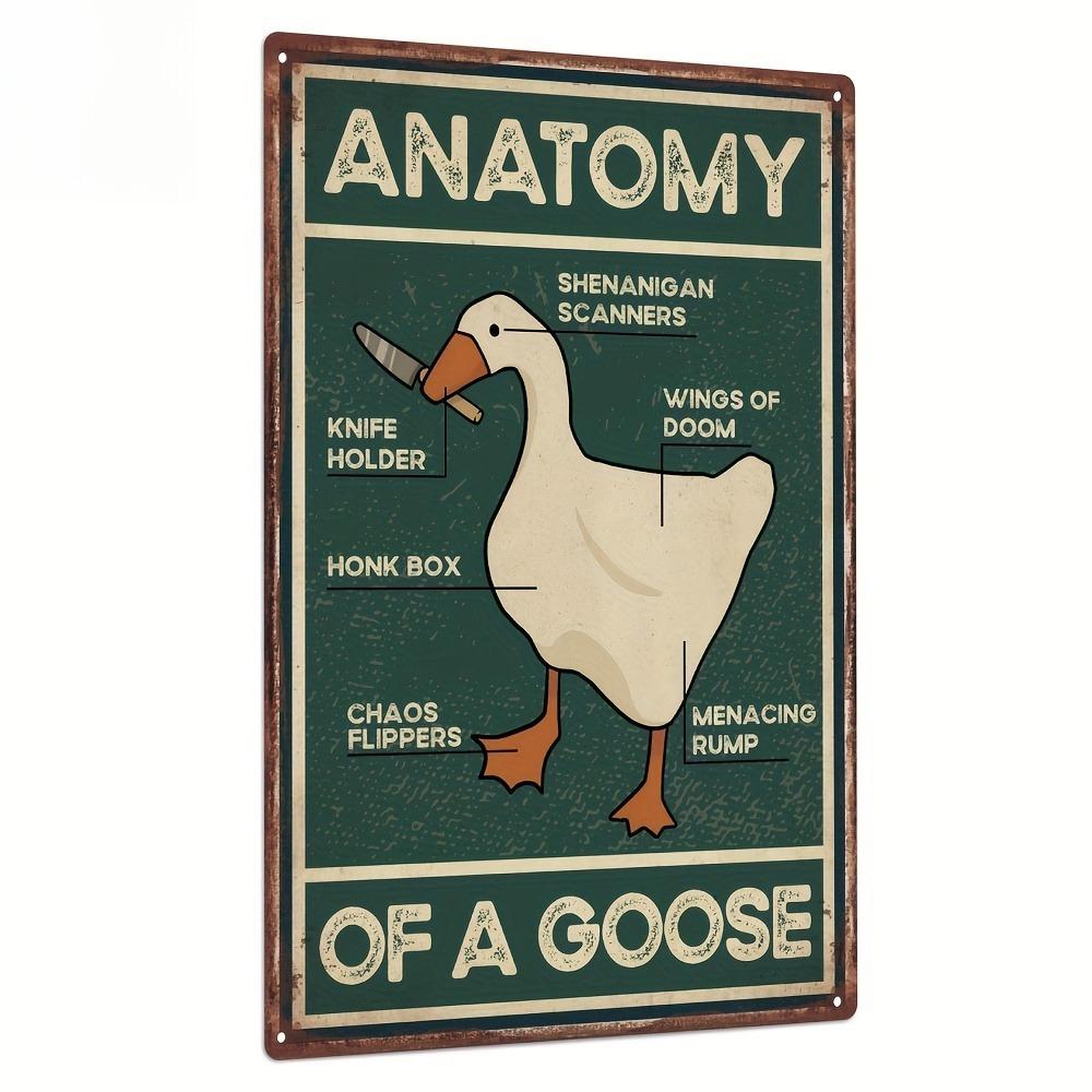 Vintage Goose Warning Metal Tin Sign - "Anatomy of a Goose" Humorous Wall Art with Cartoon Duck Illustration, Goose Decor