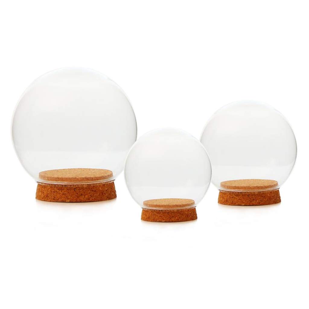 Fenteer 2-Piece 12cm Diameter Glass Dome Cover with Wood Cork, Cloche Jar Terrarium, Wedding Reception Decoration, Miniature Craft