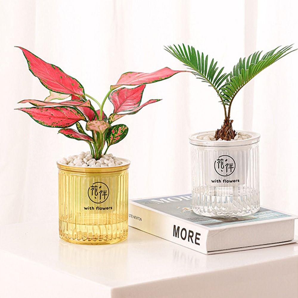

Plastic Flower Pot Transparent Garden Decor New Plant Pot прозорий