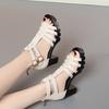 6cm All Match Comfortable Thick Bottom Platform Shoes Women Summer 2025 Med Block Heels Gladiator Sandals for Office Mom Beach