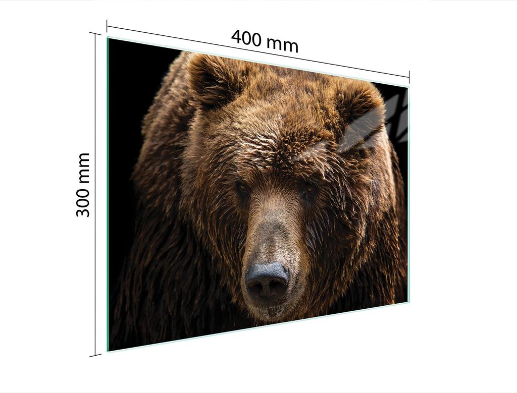SZKLANA DESKA DO KROJENIA 40x30 MIŚ