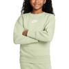 Nike Sweatshirt Fashion Comfortable Versatile Crew Neck Fleece Lined Thermal Light Green Teenagers DD7473-343