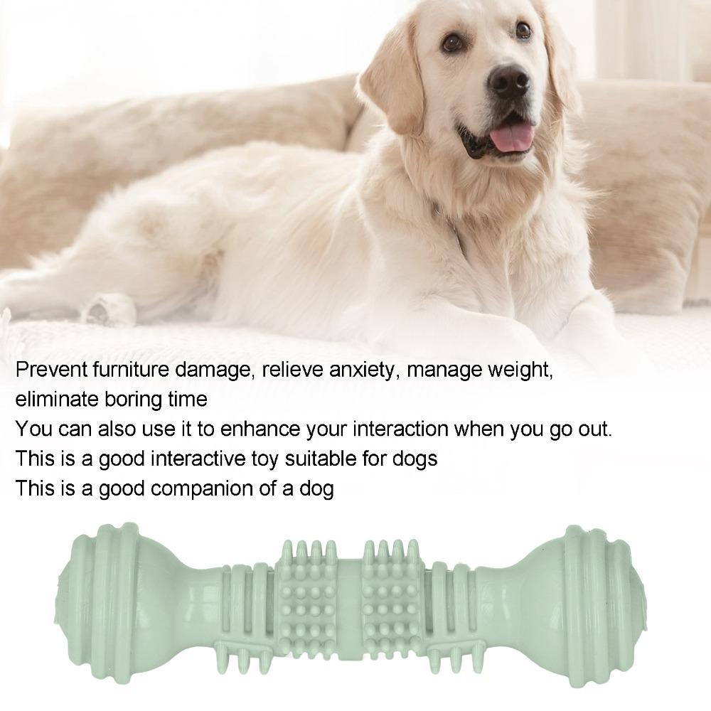Bite Tough Dumbbell Dog Chew Toy TPR Made Puppy Teeth Cleaning Toy Pet Chew Stick  Teeth Cleaning