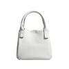 Niche Vegetable Basket Single Shoulder Messenger Bag Fashionable Texture Solid Color Bucket Portable Small Bag Women