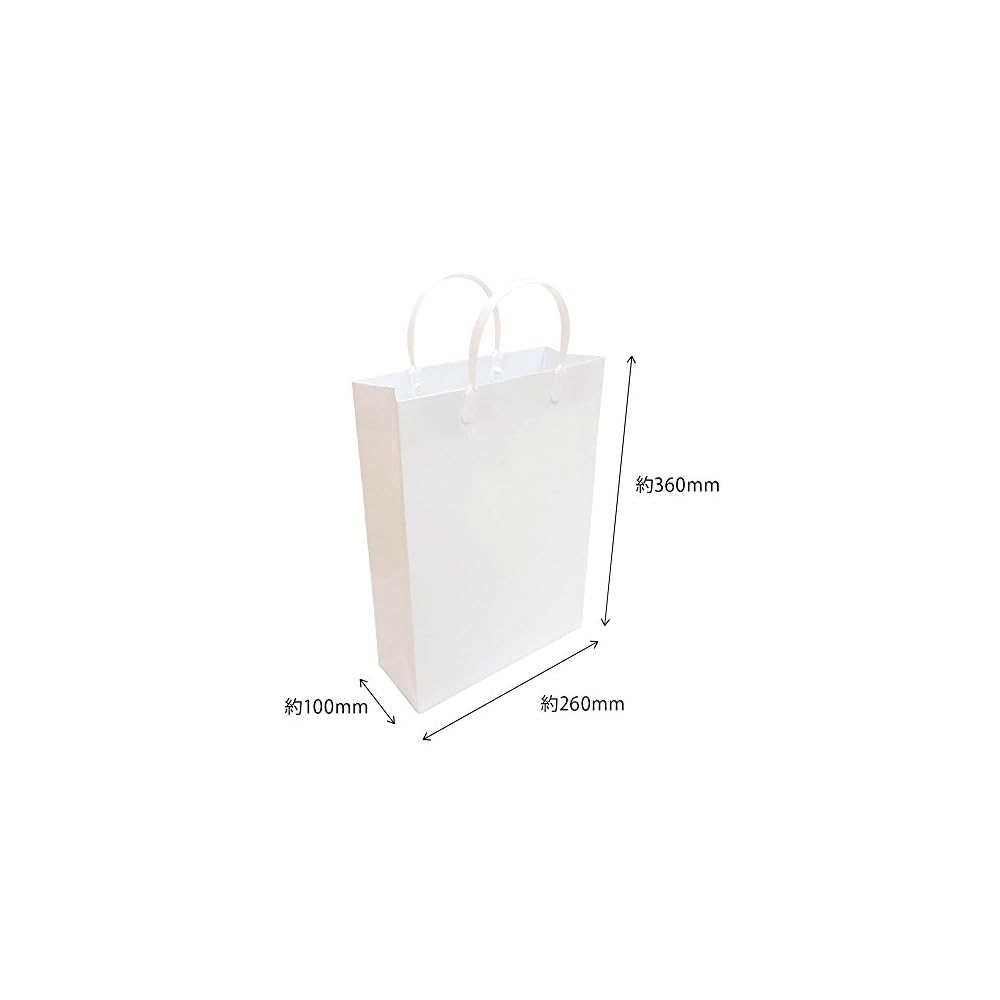 Ehime Paper Co., Ltd. Laminated Gift Bags, A4 Size, White, 10-Pack (PPA4-WH-10P)