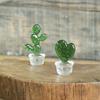 Cactus Ornaments Good Craftsmanship Decorative Glass Miniature Cactus Bonsai Figurine