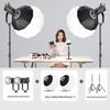 350W COB Photography Light with Spherical Softbox & Parabolic Grid