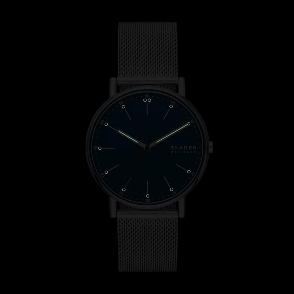 Skagen Signatur Watch SKW6904 Men's Silver