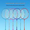 DOUBLE FISH Badminton Racket Set