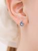 Rosemont Silver Aquamarine Earrings Lumiere Ra25D17T