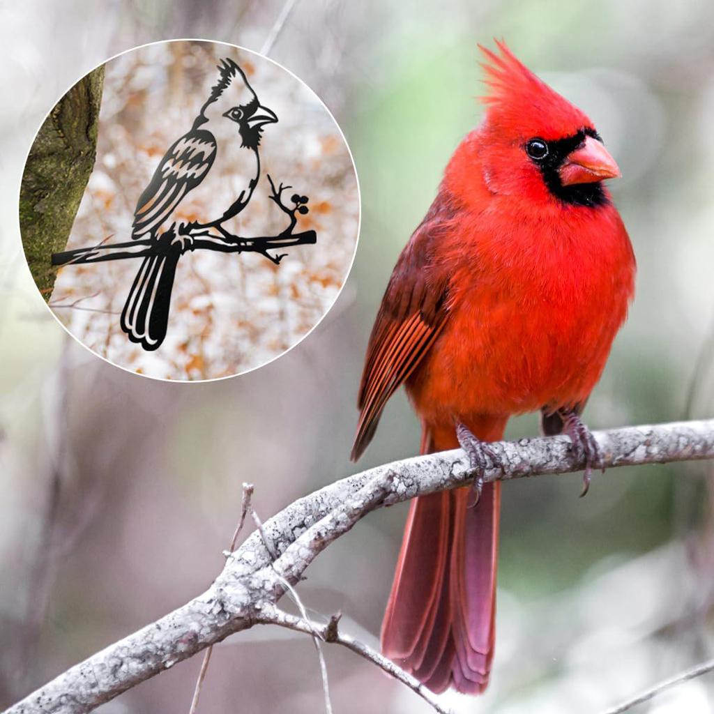 Metal Cardinal Bird Bishop Garden Silhouette Decoration