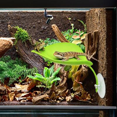 Turtle Tank Basking Stand Reptile Climbing Platforms Leaf-Shaped Aquarium Landing Habitats Reptile Tank Decor For Turtles Frogs
