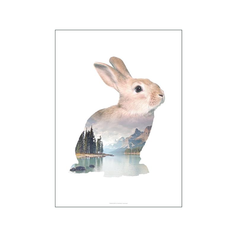 Animale în stil nordic poster estetică ilustrație peisaj natural Ursul lup imprimare pânză Walll Art Decorare acasă Decor camere