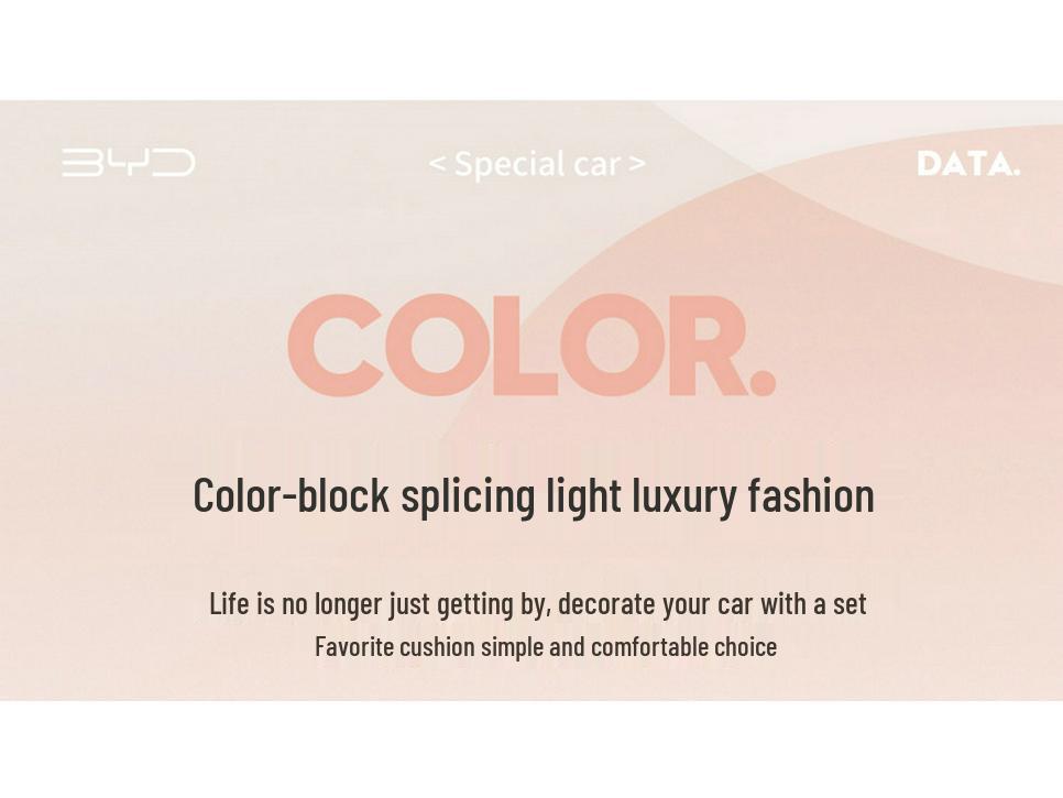 BYD Seagull Seat Cover: All-Season Full Coverage Car Cushion